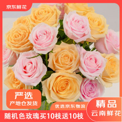 京东鲜花 七夕情人节随机色玫瑰花买10枝送10枝颜色生活插花源头直发