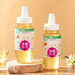 养蜂婆婆 蜂蜜纯正天然洋槐蜂蜜挤压商用大瓶装