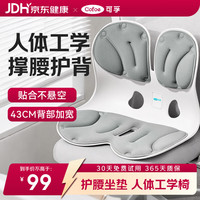 可孚 护腰坐垫医用级腰部支撑腰肌劳损人体工学椅久坐神器七夕节礼物
