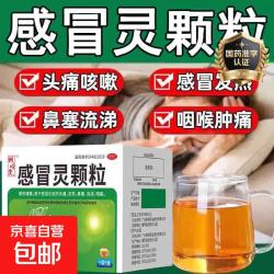 桐岭堂 [桐岭堂]感冒灵颗粒 10g*6袋 3盒装 正品感冒冲剂 感冒药鼻塞流鼻涕打喷嚏 治流行性感冒头痛发