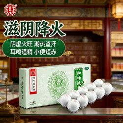 同仁堂 [同仁堂（TRT）]知柏地黄丸 9g*10丸 1盒装 滋阴降火 阴虚火旺