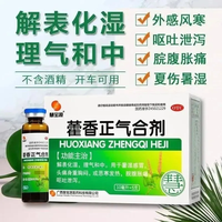 慧宝源 [慧宝源]藿香正气合剂 10ml*5支 3盒装