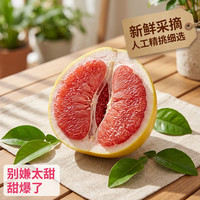 柚子 26年正宗平和琯溪红心蜜柚老树头茬超甜新鲜水果批发整箱柚子红肉 1粒装（单果净重1-1.5斤）