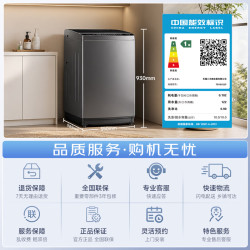 小天鹅 波轮全自动洗衣机家用10公斤