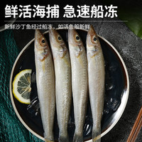 乐生海 国产海捕冻沙丁鱼 500g