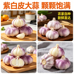 2026年新干蒜邳州紫皮大蒜头农家当新鲜季蔬菜农家自种 1斤 带箱重量