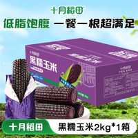 百亿补贴：十月稻田 东北黑糯玉米4斤箱装真空低脂粗粮主食早餐