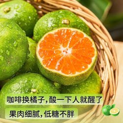 橘子 云南蜜桔青皮橘子酸甜柑橘果园现摘水果商超果 蜜桔1斤（商超果）