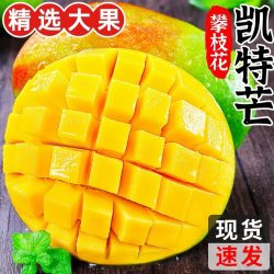 火鸡生活 芒果四川攀枝花凯特芒单果300g+ 带箱3斤