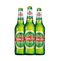 青岛啤酒 经典10度啤酒