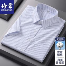 培蒙新款短袖商务休闲衬衫职业免烫工装薄款抗皱爸爸条纹衬衣夏季