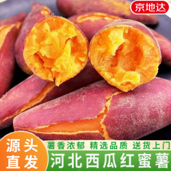 京地达 河北西瓜红蜜薯烤红薯番薯新鲜蔬菜净重4.5斤单果100g+果源头直发