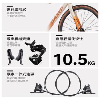 坎普 ADVENTURE冒险者5代 油碟碳纤维前叉 铁灰色 490码 13速 公路车