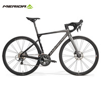 美利达 斯特拉卡本 碳纤维车架 古铜金 700*50CM 公路自行车