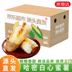京地达 河北哈密冰糖心白蜜薯番薯红薯烤地瓜净重3斤单果100g+源头直发