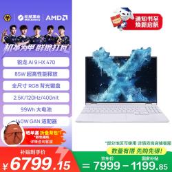 机械革命 无界15X Pro暴风雪(AI9 HX 470 16G 1T  99Wh 120Hz 2.5K)办公笔记本电脑轻薄游戏本