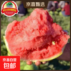 商超品质正宗无籽美都麒麟西瓜安徽砀山精品爆汁西瓜 净重8-9斤一个装