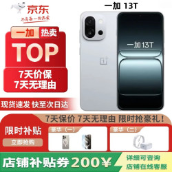 一加13T  高通骁龙8至尊版手 机 性能 激活 晨雾灰 12GB+512GB