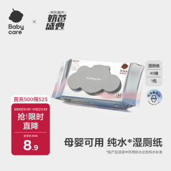 babycare 湿厕纸 40抽*1包