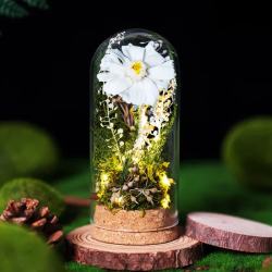 玫瑰盒子 小雏菊永生花礼盒