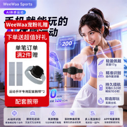 WeeWaaAI体感运动手环 燃脂拳击体感游戏 居家锻炼 联网有氧拳击能减肥