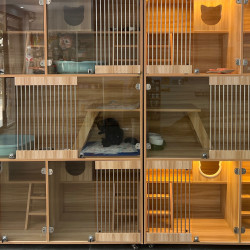 『猫咪寄养』·酒店式寄养