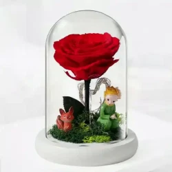 JoyFlower 小王子的玫瑰花 永生花礼盒
