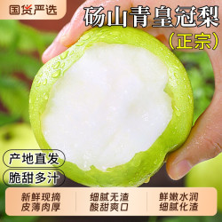 砀山青皇冠梨9斤新鲜水果当季青梨子翠冠梨雪梨整箱包邮现摘自提