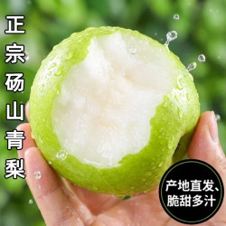 正宗砀山青梨新鲜水果皇冠梨10斤当季青皮蜜梨整箱包邮现摘果子