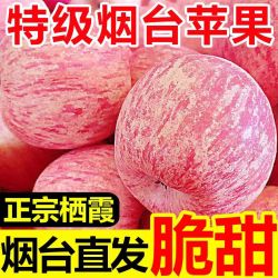 山东正宗烟台红富士苹果新鲜水果当季水果脆甜整箱好果批发现摘