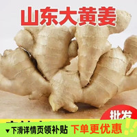 生姜老姜山东大姜大黄姜风干姜优质姜新鲜现挖大块批发当季食用