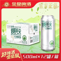 KINGSTAR 中式精酿啤酒毛尖 500ml*12罐整箱装