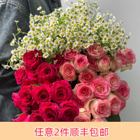 芊芊细语 鲜花七夕限定 5支艾莎+5支弗洛伊德+5支洋甘菊