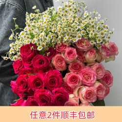 芊芊细语 鲜花七夕限定 5支艾莎+5支弗洛伊德+5支洋甘菊
