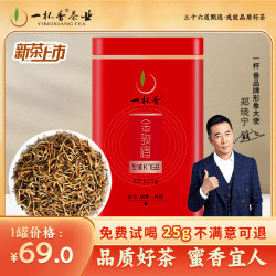 一杯香 2026新茶果香金骏眉125g单罐装清甜香办公待客耐泡口粮茶叶