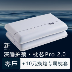 第二代记忆棉枕头深睡眠星级酒店侧睡慢回弹枕芯护颈椎助睡眠正品