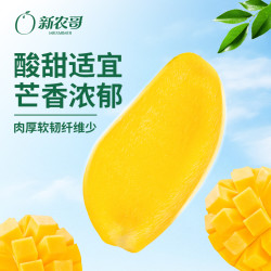 新农哥 芒果干水果干100g*4袋蜜饯果脯休闲充饥食品