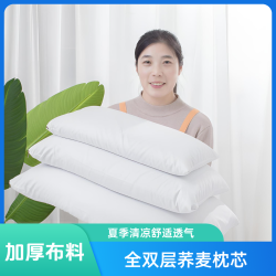 全双重防护加厚布料成人枕头内胆芯双层可拆护颈荞麦枕芯白色