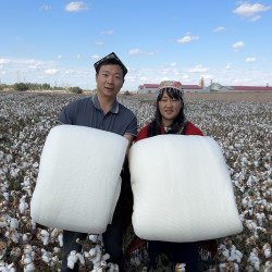 新疆棉花被子垫被冬季保暖加厚特价包邮&鱼
