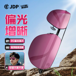贾东普 钓鱼眼镜看漂专用增晰垂钓开车感光偏光墨镜钓鱼用具