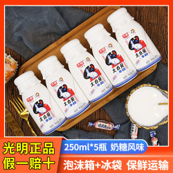 光明 大白兔奶糖风味牛奶饮料早餐奶250ml正品低温饮品生牛乳发酵