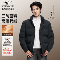 七匹狼 官方正品新款石墨烯新国标90绒夹克羽绒服8561