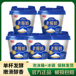 光明 1911老酸奶经典原酪生牛乳发酵低温奶原味酸奶学生营养早餐