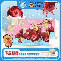 真果粒 蒙牛牛奶饮品东魁杨梅味含乳饮料康美苗条装250g*12包*2箱