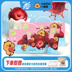 真果粒 蒙牛牛奶饮品东魁杨梅味含乳饮料康美苗条装250g*12包*2箱