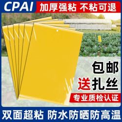牧火 粘虫大号双面蚊虫飞虫安全耐用园艺苍蝇贴强力粘粘虫板黄板双面粘