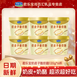 君乐宝 奶皮子酸奶酪120g*6杯生牛乳发酵低温风味酸奶早餐奶