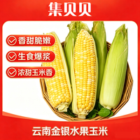 京东 云南金银水果玉米甜玉米香甜爆汁现摘现发新鲜即食健康减脂早餐B 带箱3斤——净重2.5斤