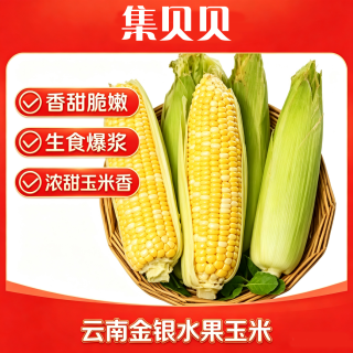 京东 云南金银水果玉米甜玉米香甜爆汁现摘现发新鲜即食健康减脂早餐B 带箱3斤——净重2.5斤