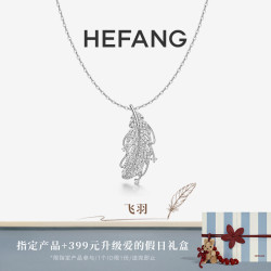 HEFANG 飞羽长项链 轻奢时尚原创设计生日礼物银饰